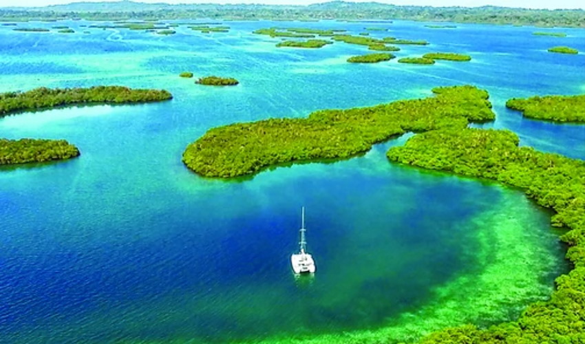 hurricane damaged catamaran for sale