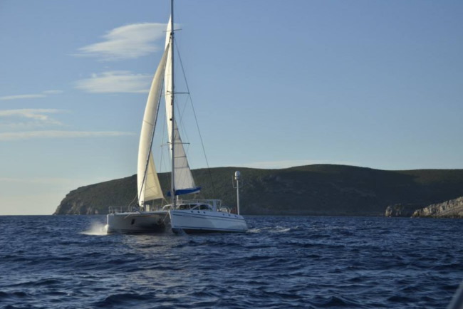 catana 531