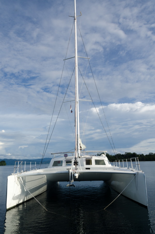 looping 45 catamaran for sale